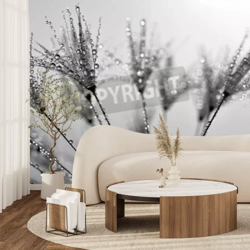 Fototapete Pusteblumensamen in Nahaufnahme