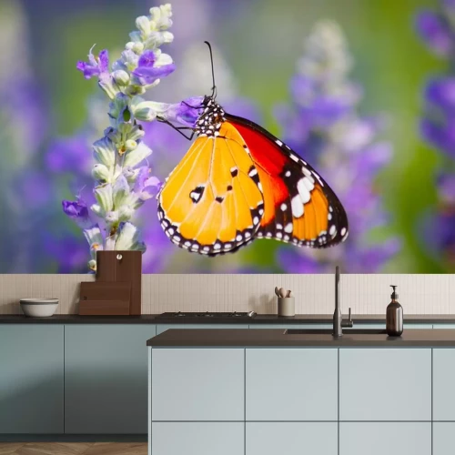 Sticker Orangefarbener Schmetterling auf einer Wiese