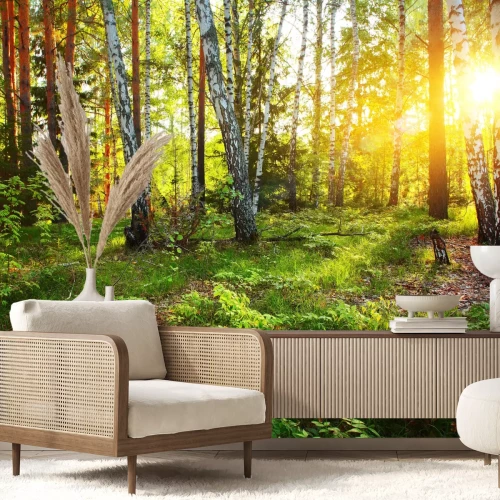 Fototapete Wilde Vegetation und Birken