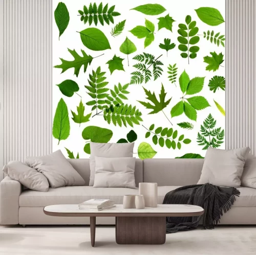 Sticker Alle Arten von grünen Blättern