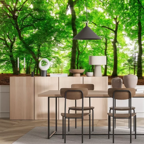 Fototapete Waldlandschaft an einem sonnigen Tag