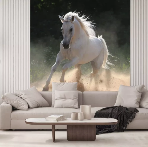 Fototapete Weißes pferd im sonnenschein