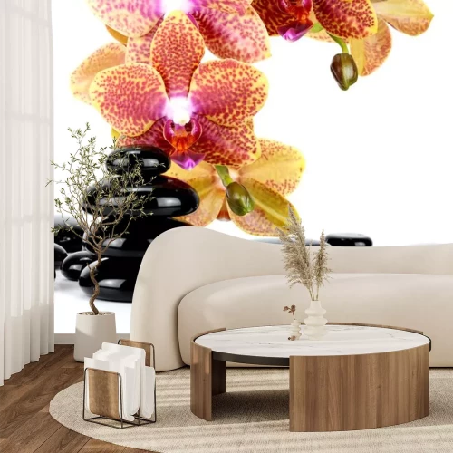 Sticker Spa Stones und Orchid Blumen auf weißem ...