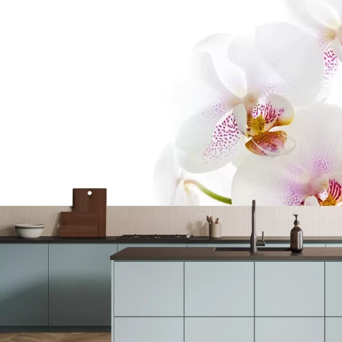 Sticker Weiße Orchidee auf weißem Hintergrund