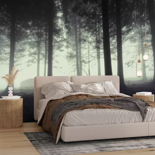 Sticker düsterer Wald mit Nebel