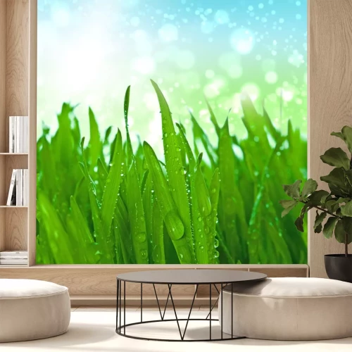 Sticker grünes Gras