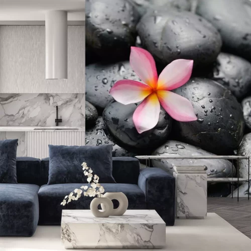 Sticker Frangipani und nasse schwarze Kieselsteine