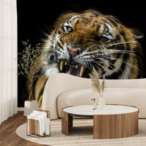 Fototapete Afrikanischer tiger auf schwarzem hintergrund