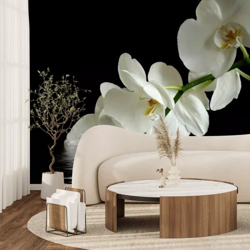 Fototapete Weiße Orchideen auf schwarzem Hintergrund