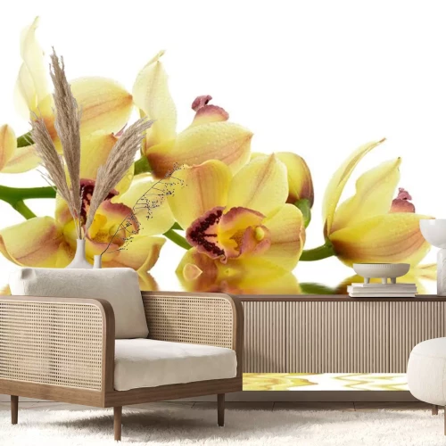 Sticker Gelbe Orchidee auf dem Wasser