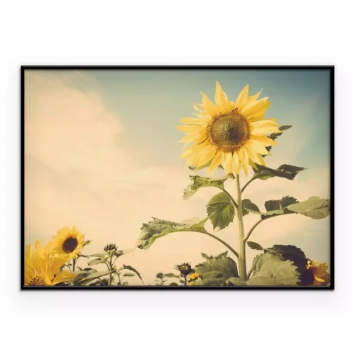 Poster Sonnenblume vor Himmel und Wolken in einer Retro-Ästhetik