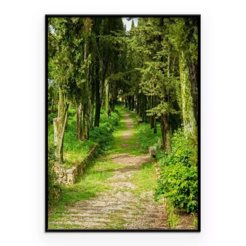 Poster Eine grüne Allee, umgeben von einer Reihe Laubbäumen