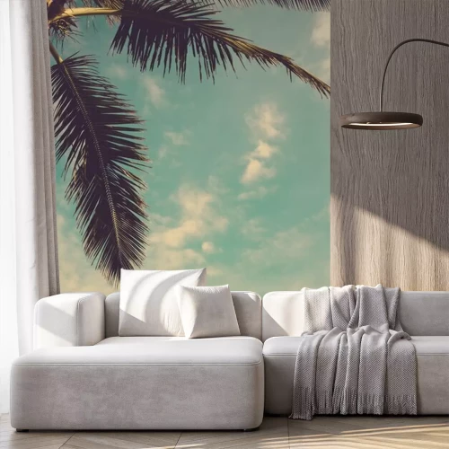 Fototapete Coconut palm tree against blue sky vintage retro