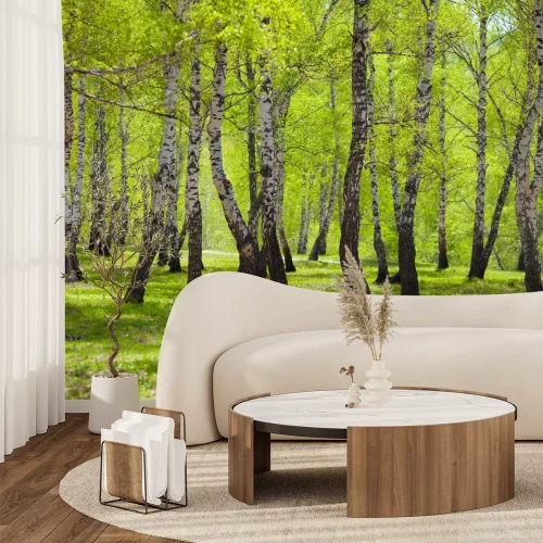 Fototapete Grünes Gras und Birken