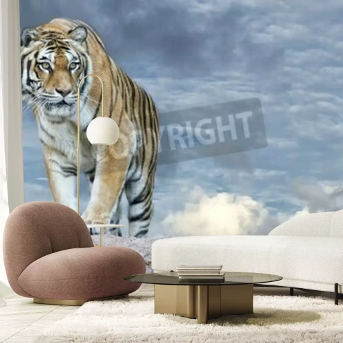 Fototapete Tiger am himmel