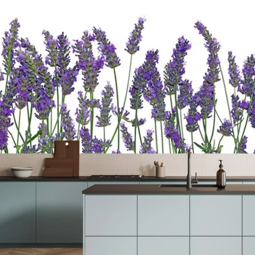 Sticker Lila lavendelfarbene Blumen in einer Reihe