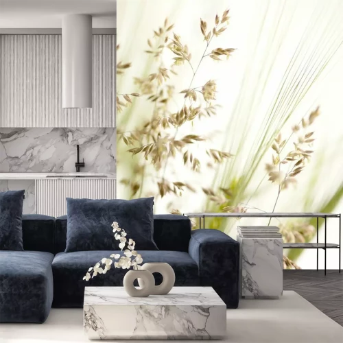 Fototapete Gras und Feldpflanzen