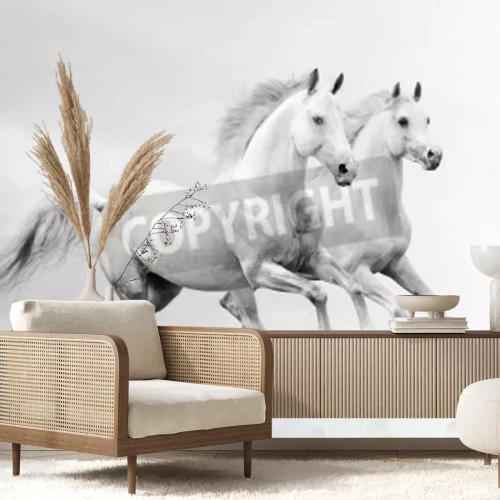 Fototapete Zwei pferde vor weißem hintergrund