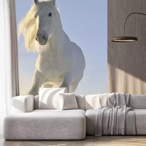 Fototapete Galoppierendes pferd im schnee