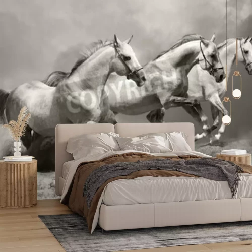 Fototapete Galoppierende pferdeherde