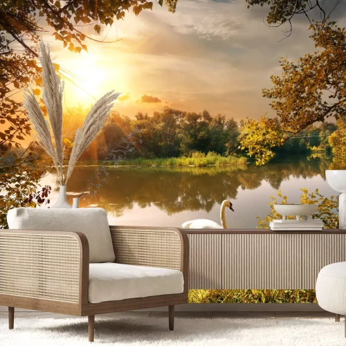 Fototapete Sonnenaufgang und Schwan im Teich