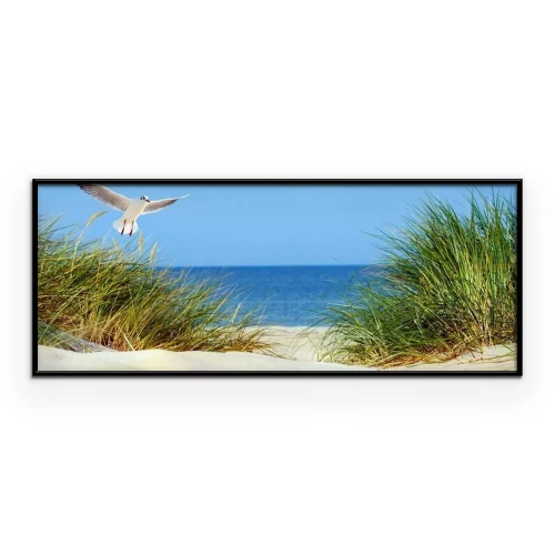 Poster Eine Möwe kreist über dem Gras, das auf den Dünen wächst.