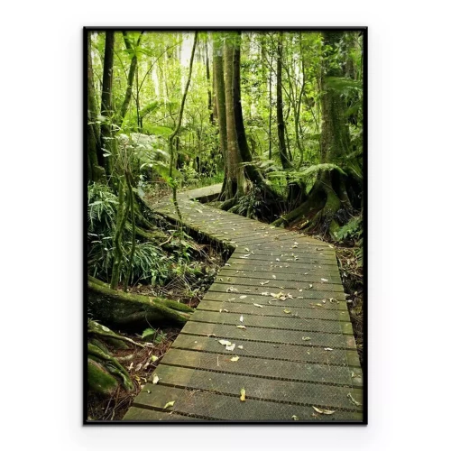 Poster Eine Holzbrücke, die durch einen dichten Wald führt