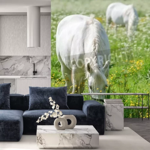 Fototapete Zwei gras fressende ponys