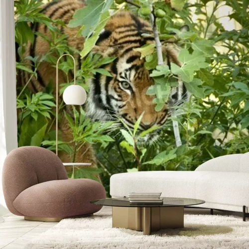 Fototapete Tiger unter grünen blättern