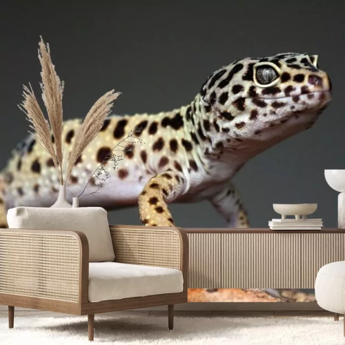 Fototapete Gepunktete Eidechse