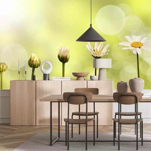 Fototapete Sich entwickelnde Natur