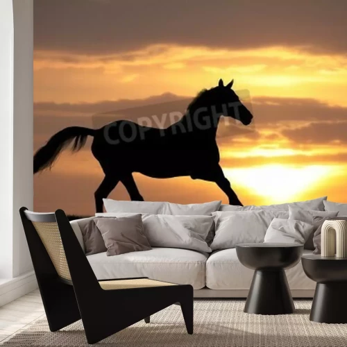 Fototapete Majestätisches tier bei sonnenuntergang