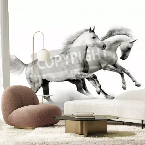 Fototapete Monochromatische darstellung von pferden