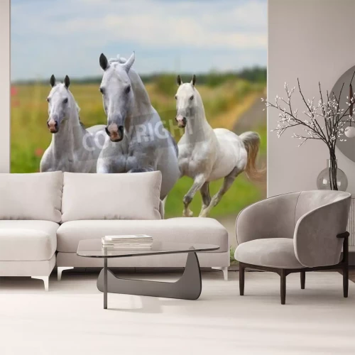 Fototapete Auf einem feldweg laufende pferde