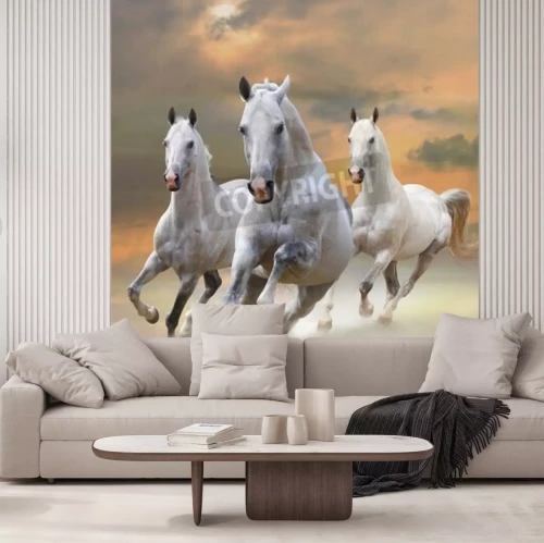 Fototapete Galoppierende pferde bei sonnenuntergang