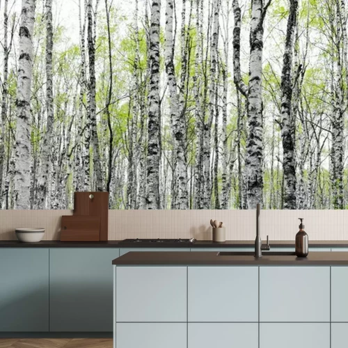 Fototapete Forest with trunks of birch trees