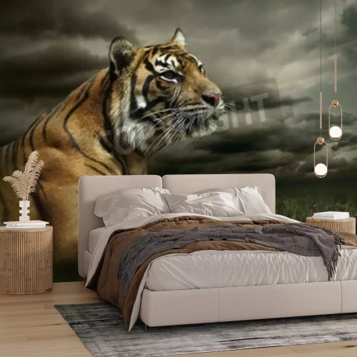 Fototapete Tiger mit dunklen wolken im hintergrund