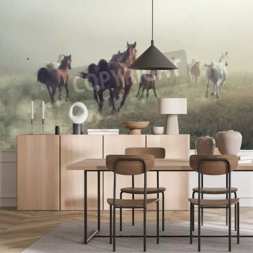 Fototapete Morgens galoppierende pferde