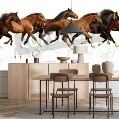 Fototapete Silhouetten von pferden auf weißem hintergrund