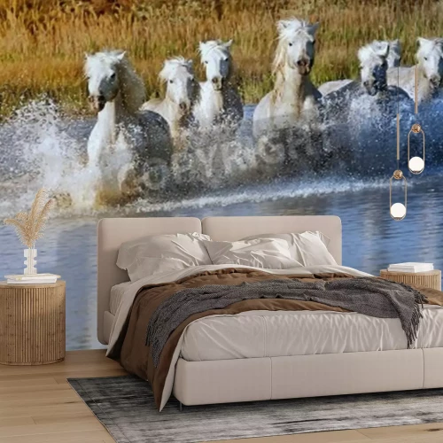 Fototapete Im fluss laufende pferde