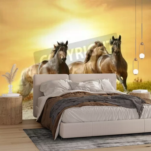 Fototapete Sonnenuntergang und pferde