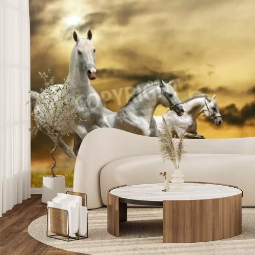 Fototapete Auf gras laufende pferde