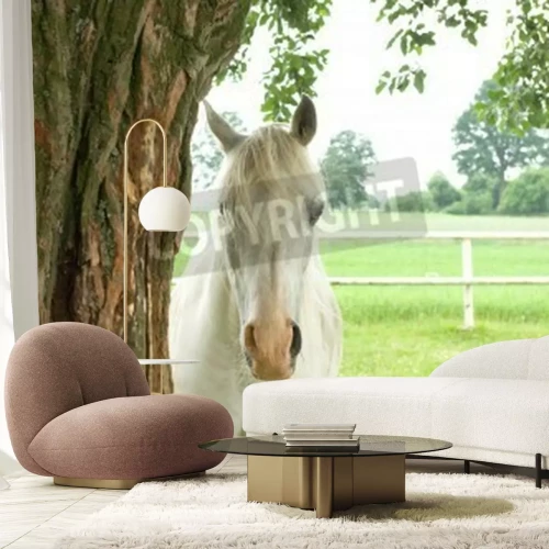 Fototapete Pferd, das sich hinter einem baum versteckt