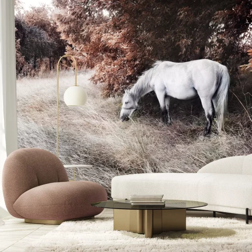 Fototapete Herbstlandschaft mit einem pferd