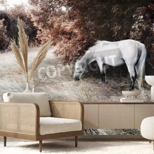 Fototapete Herbstlandschaft mit einem pferd