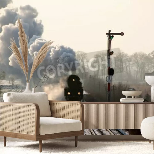 Fototapete Schwarzer Zug in winterlicher Landschaft