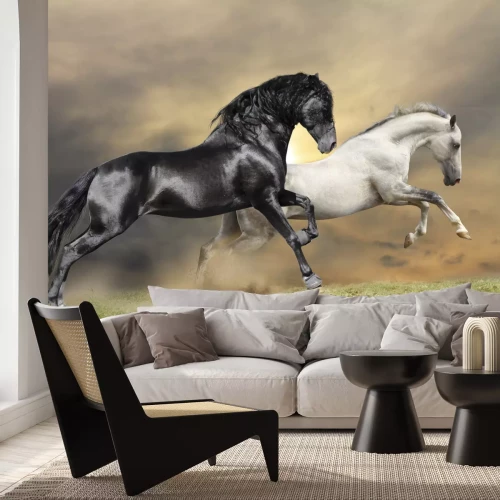 Fototapete Durch die wiese galoppierende pferde