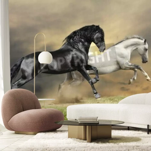 Fototapete Durch die wiese galoppierende pferde