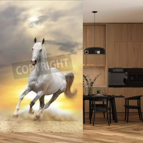 Fototapete Majestätisches pferd in der wüste