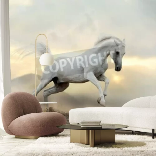 Fototapete Pferd im grauen staub